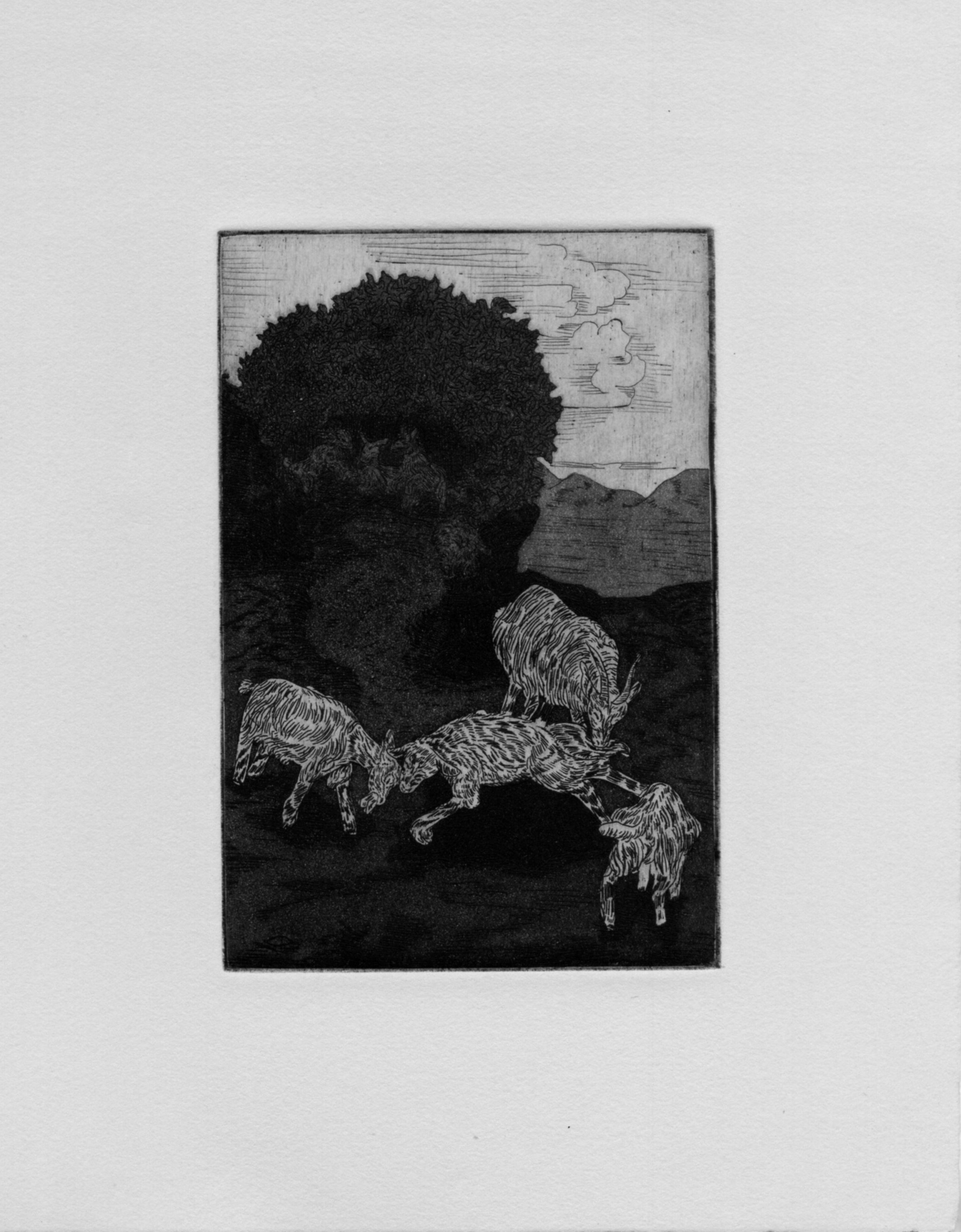 The Grapes Growed Agrete in Gardens Aboute.jpg