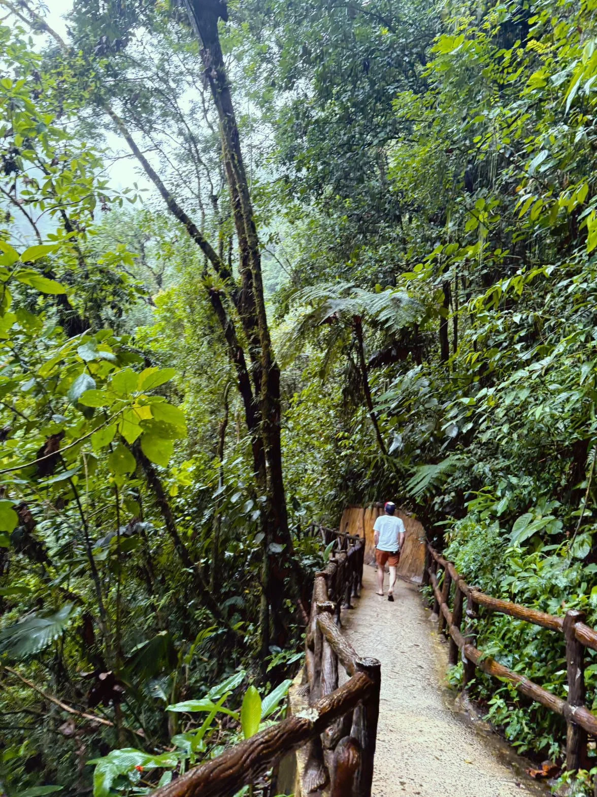 1 Week in Costa Rica with The Itinerary