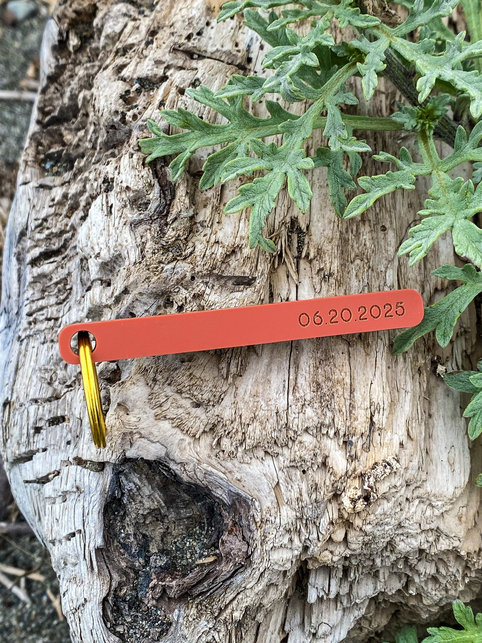 Custom Coordinates Washington State Souvenir