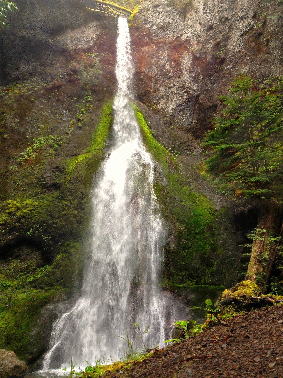 Marymere Falls.jpg
