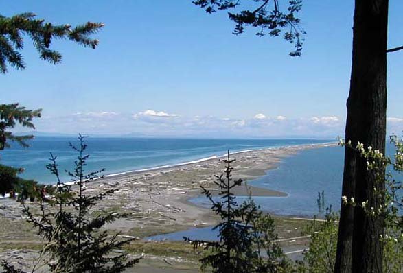 Dungeness Rec Area .jpg