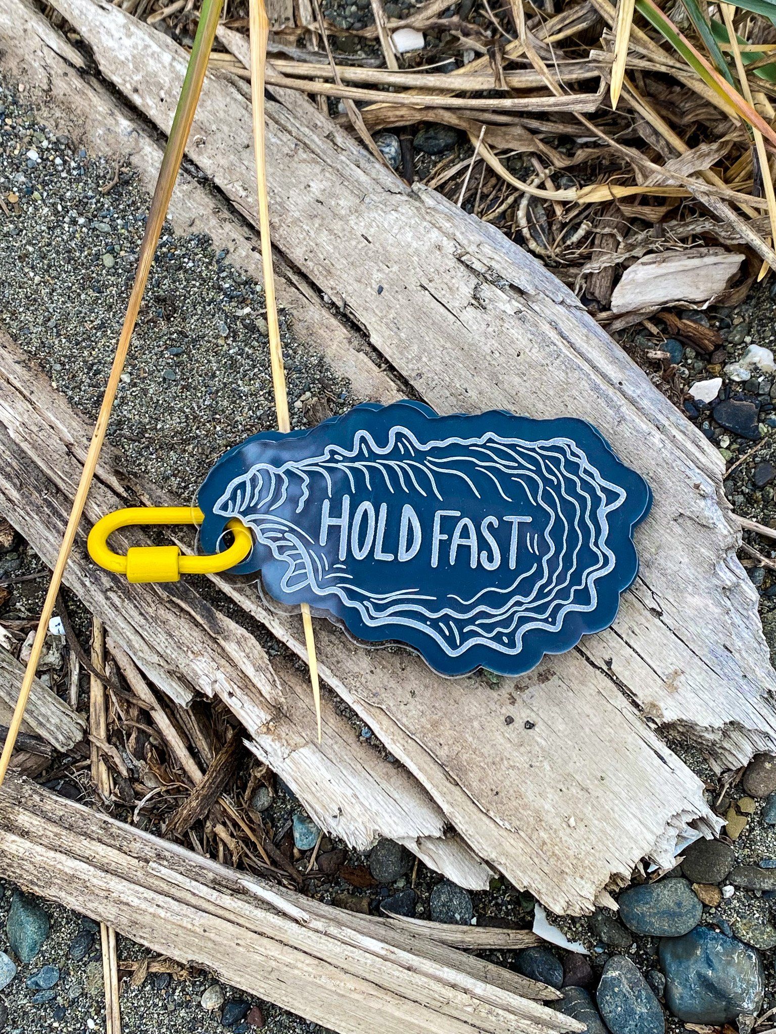 A plastic tag with the words "HOLD FAST" on it, attached to a yellow clip, resting on weathered driftwood and sand, with dried plant debris nearby.