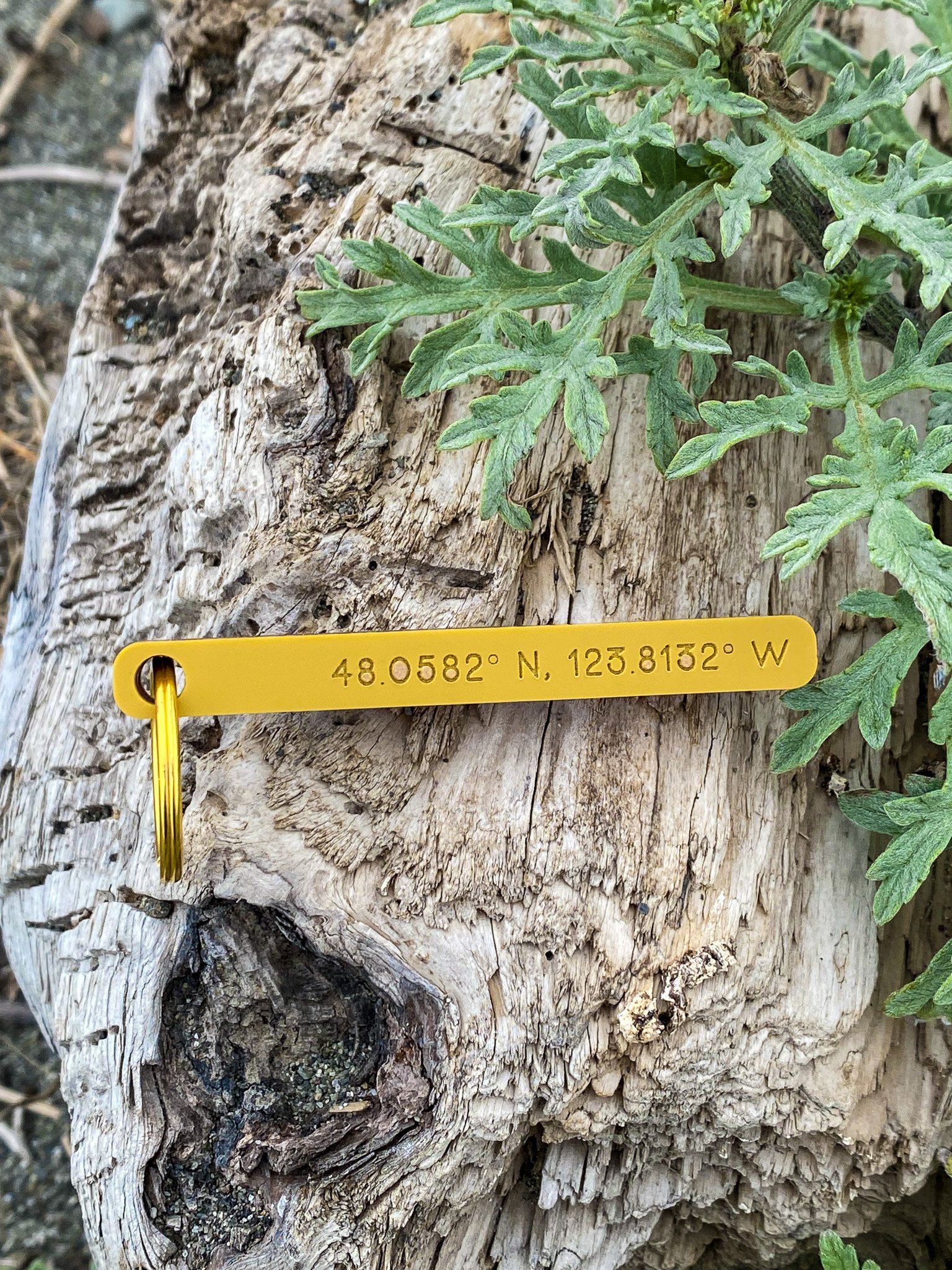 National Park Custom Coordinates Keychain