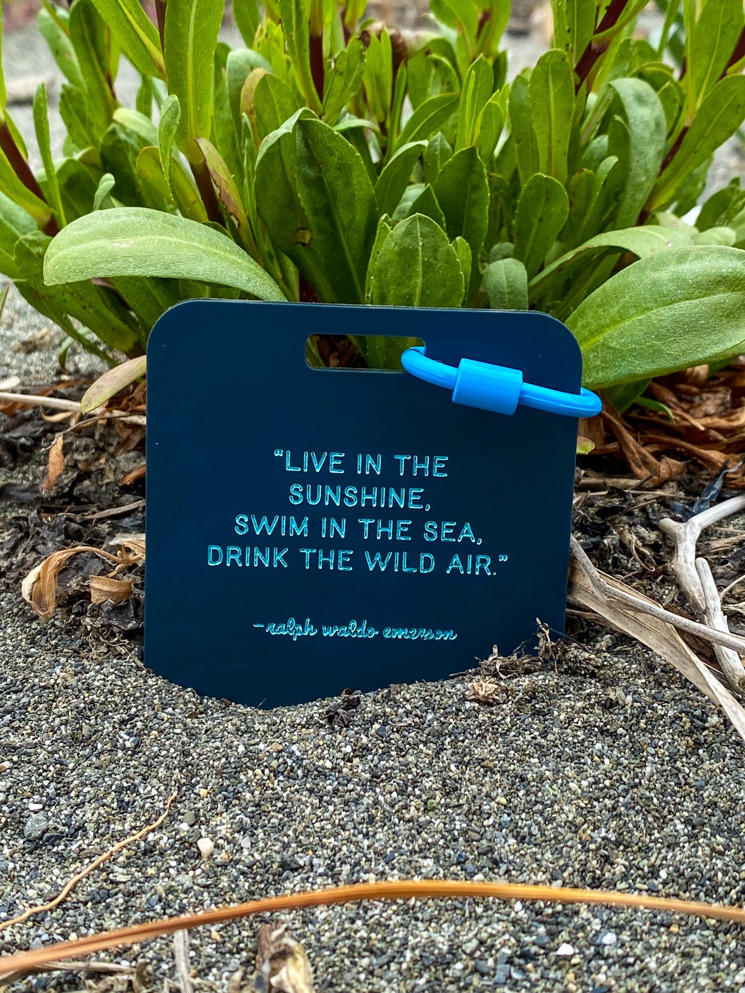 A black metal sign with blue engraved text reading about living, swimming, and drinking freely, placed in sandy soil with green plants in the background.