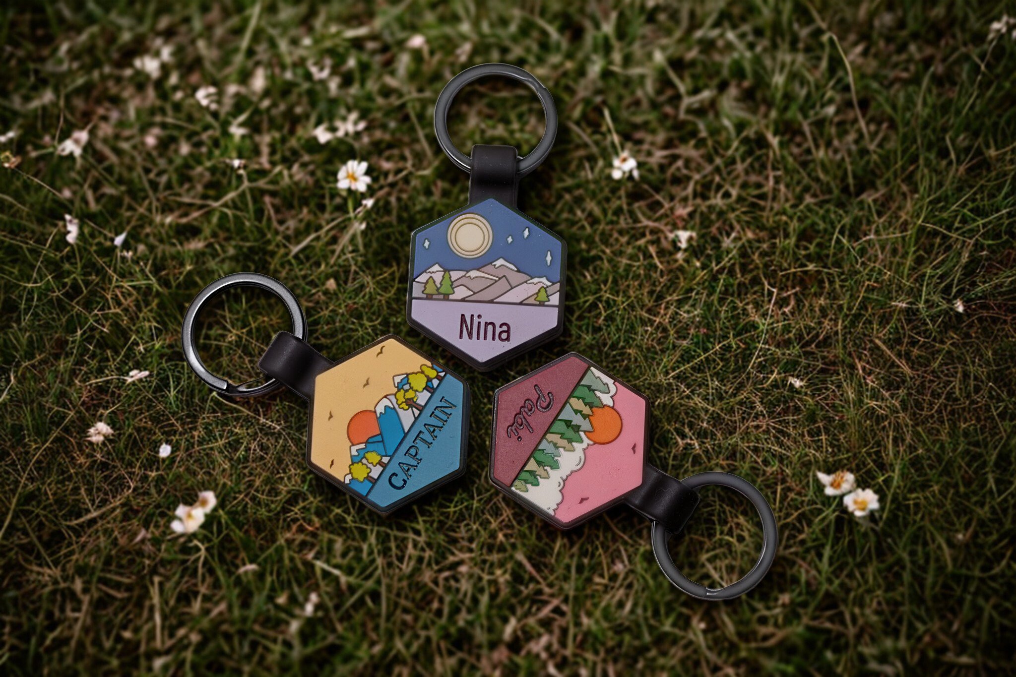 6e137c8b-77cb-4ece-8ea5-91a0de6b14b7.jpg (Copy)