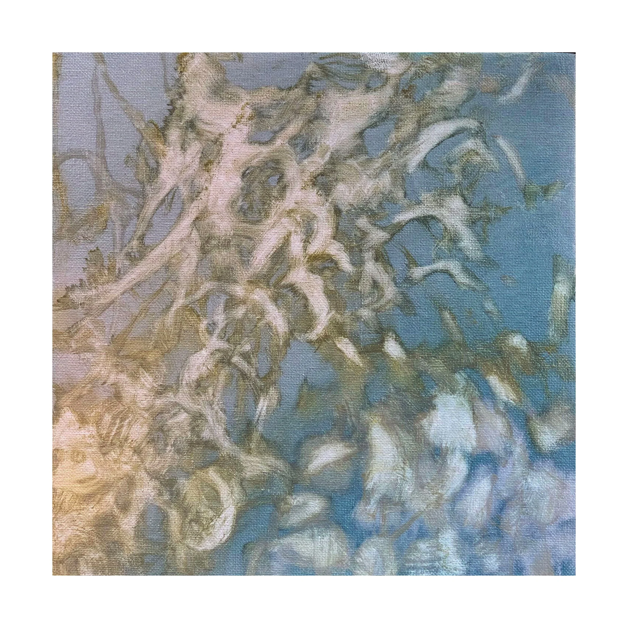  Frost Stems , 2025 
Oil on canvas board 
12 x 12 inches