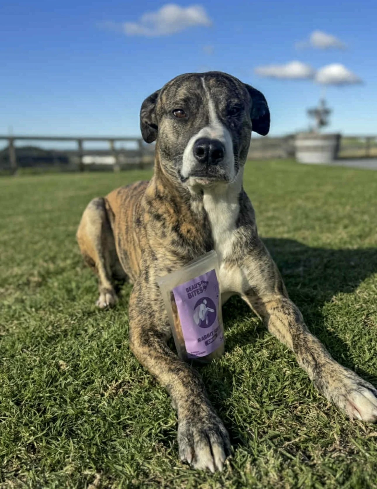 Bulk Rabbit Feet (20% saving)