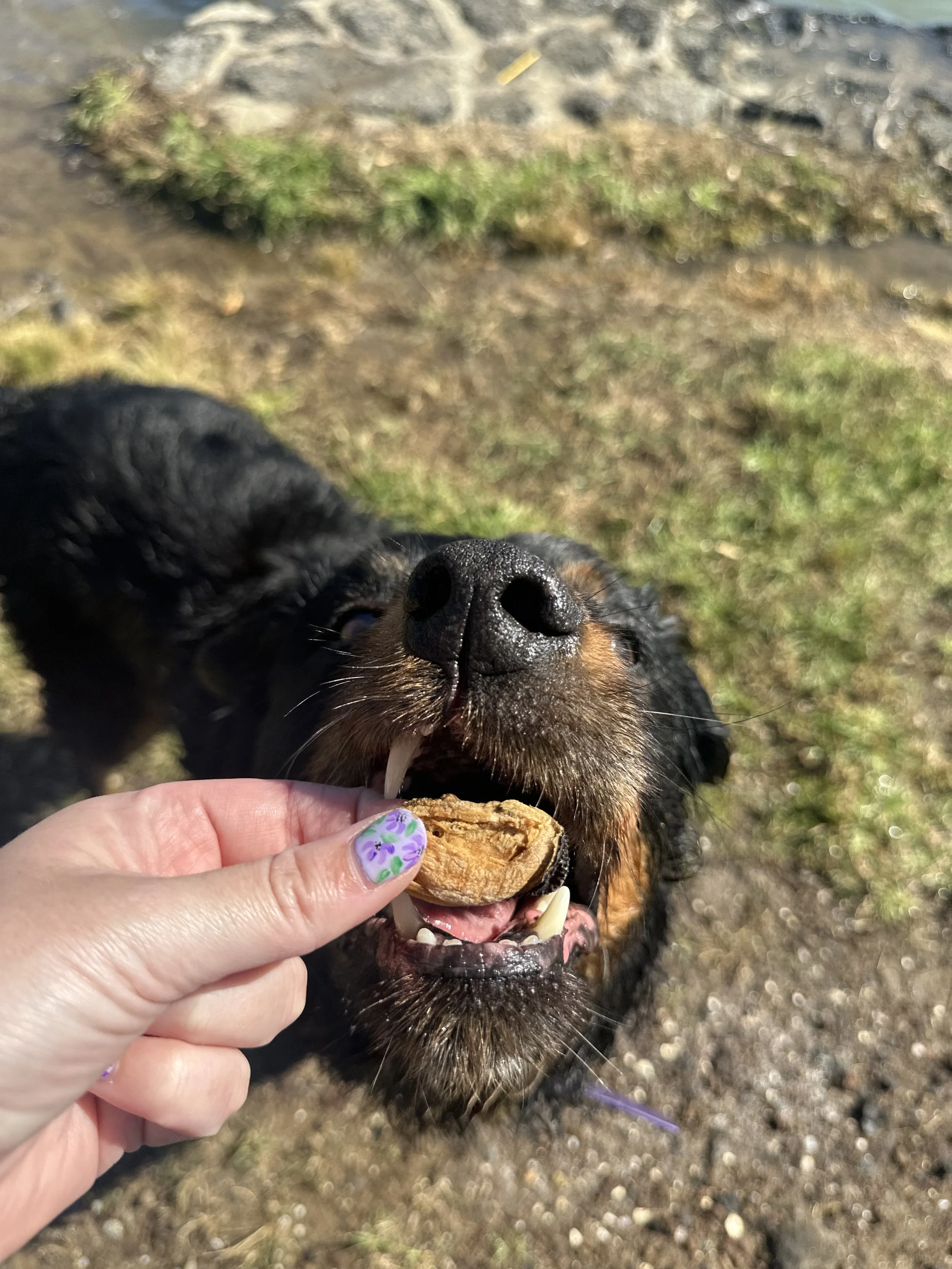 Photo 07-12-2025, 4 51 31 PM (1).jpeg