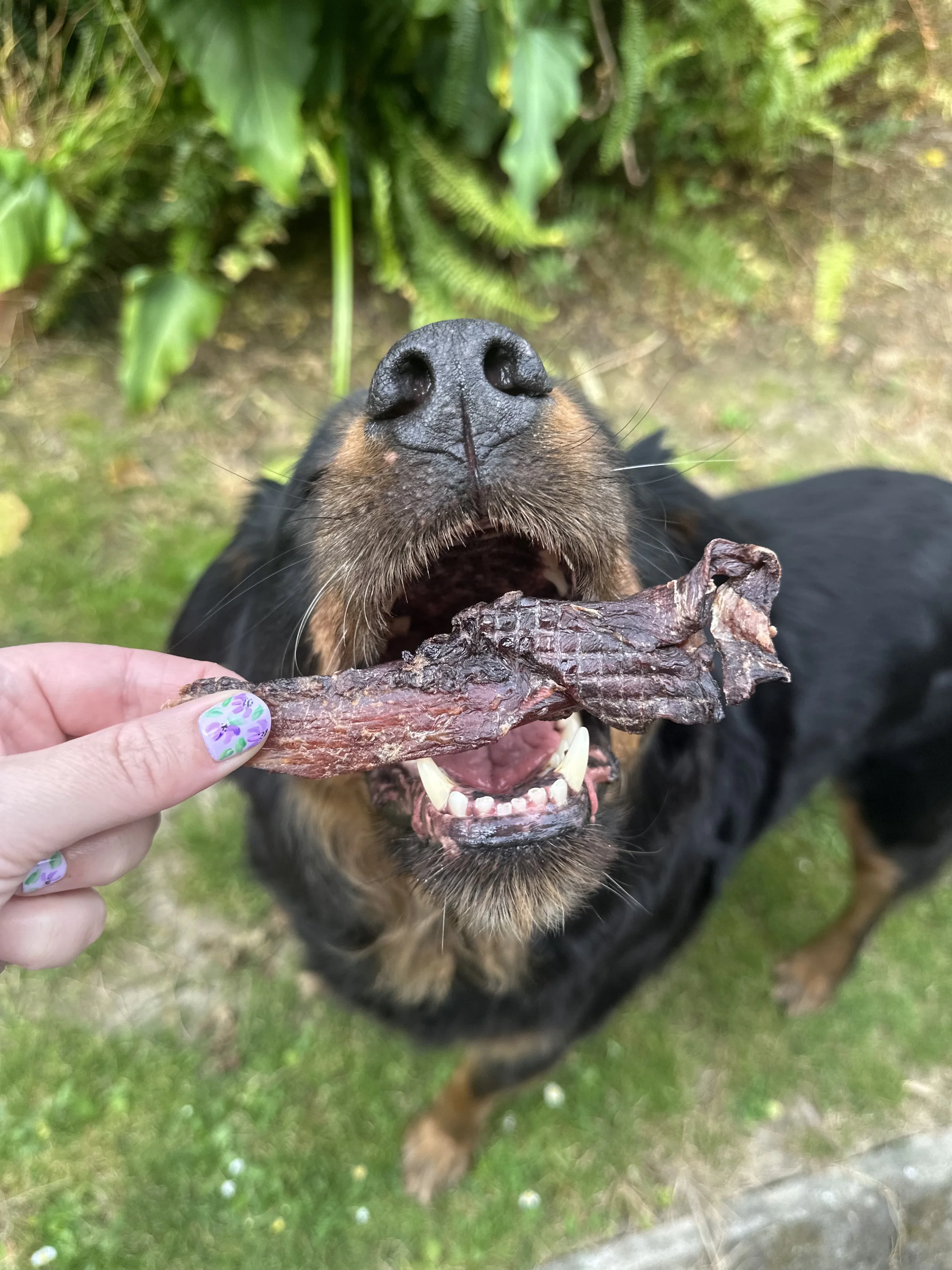 Photo 25-11-2025, 6 27 59 PM.jpeg