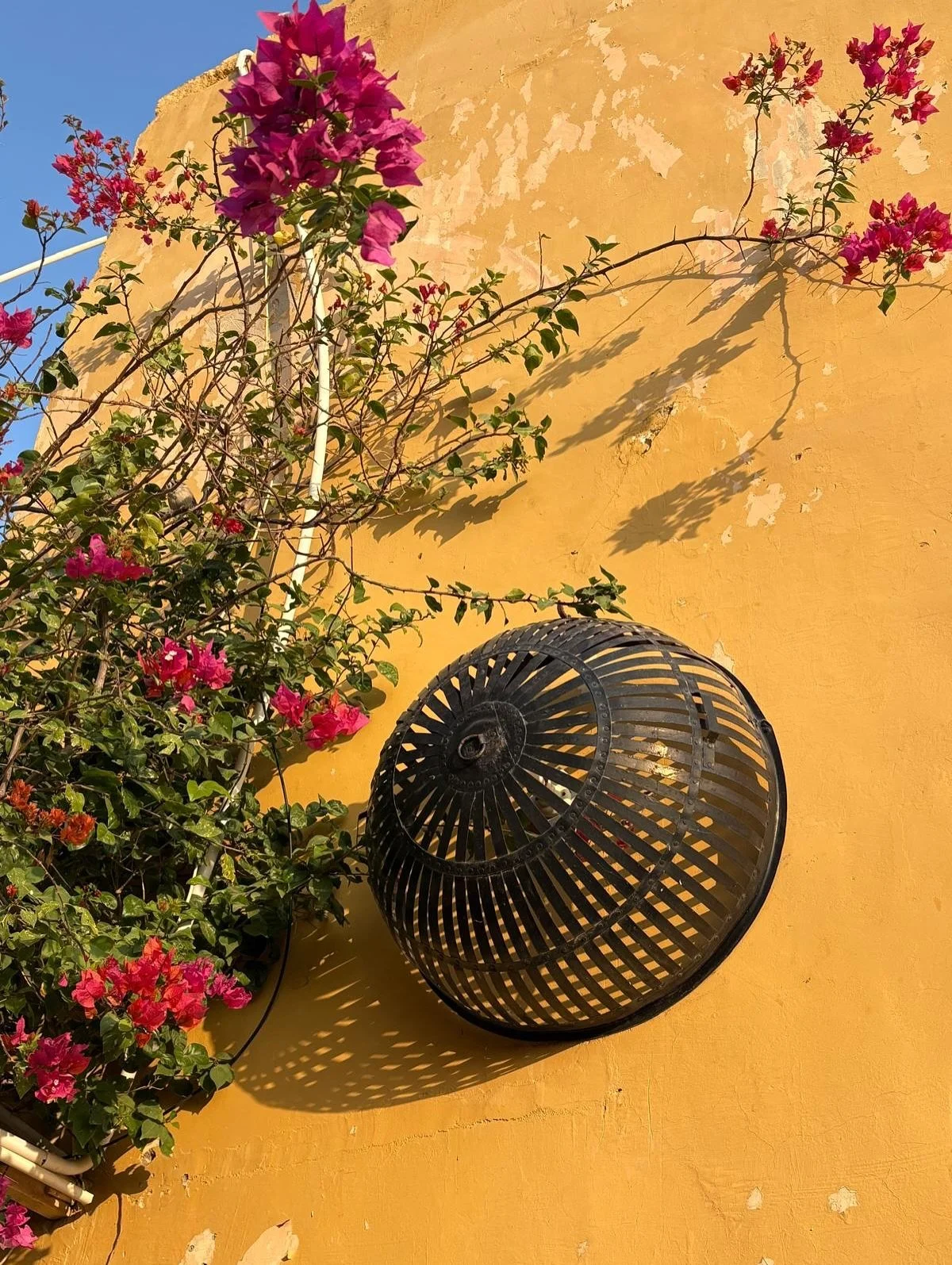 In a country that&rsquo;s at once hectic, charming, crazy, friendly and overwhelming, you can still find spaces of calm that restore the balance and bring you back to yourself 🙏🏽

#rajasthan #indiatravel #seraiwomen