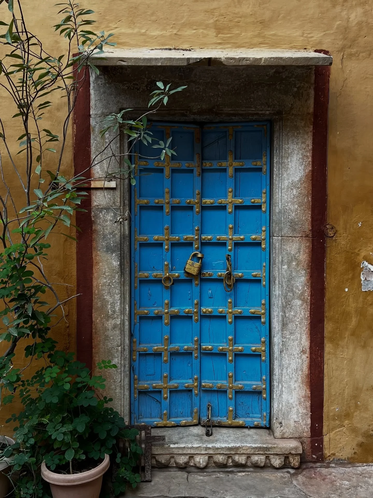 Even simple doorways are the most beautiful creations.

#india #indiatravel #chanoudgarh #royalindia #rajasthan #royalrajasthan #seraiwomen #womentravelers