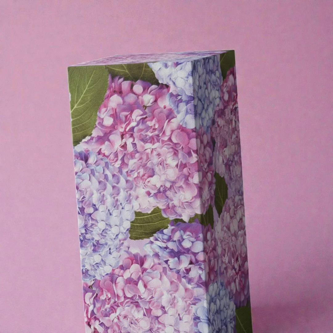 Bloom Choice hydrangea.jpg