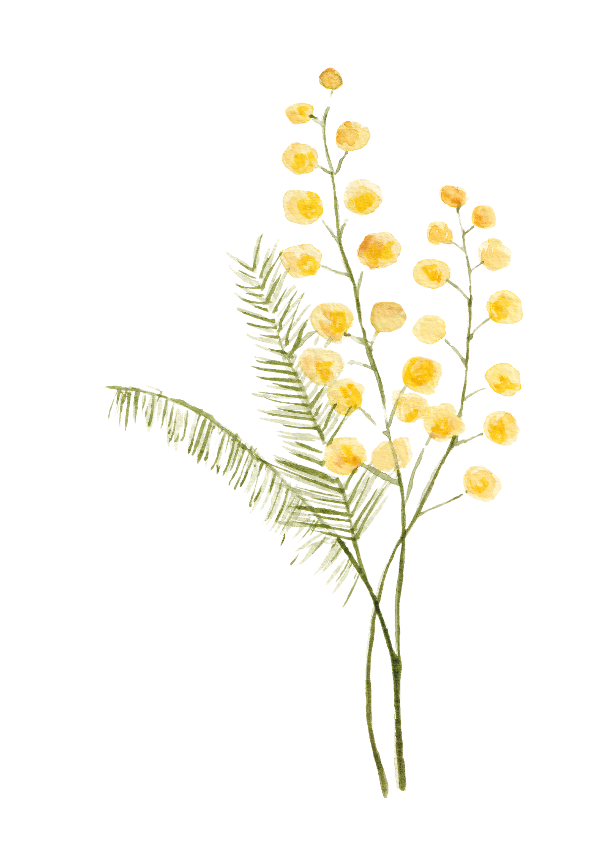 Watercolor painting of fern leaves and small yellow flowers on a black background.