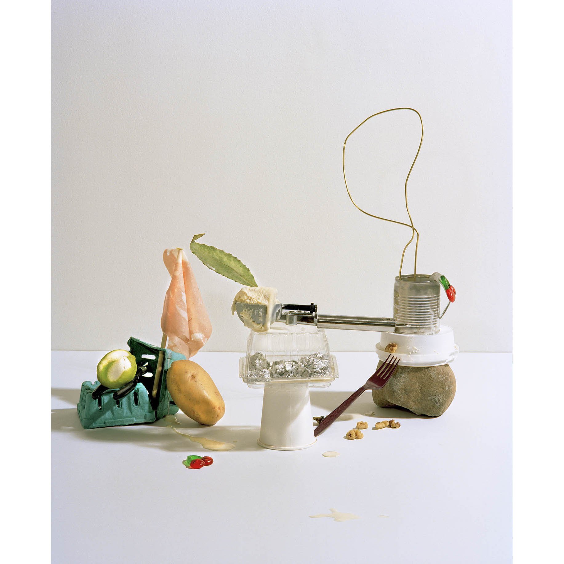 Choi_LC_FischliWeiss.jpg