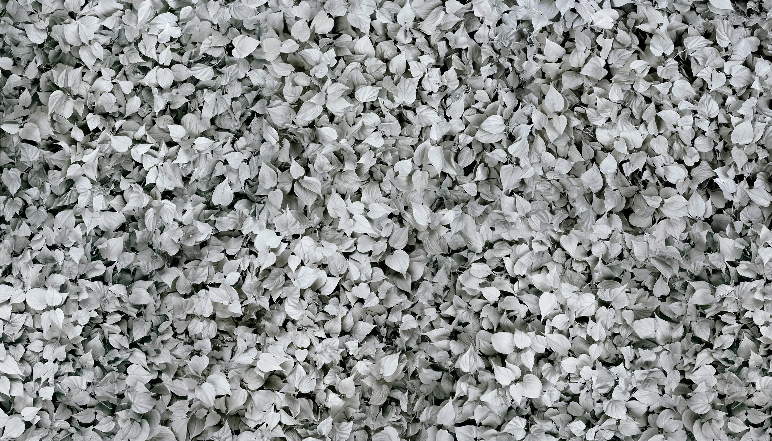 White Maze, 2007/2010