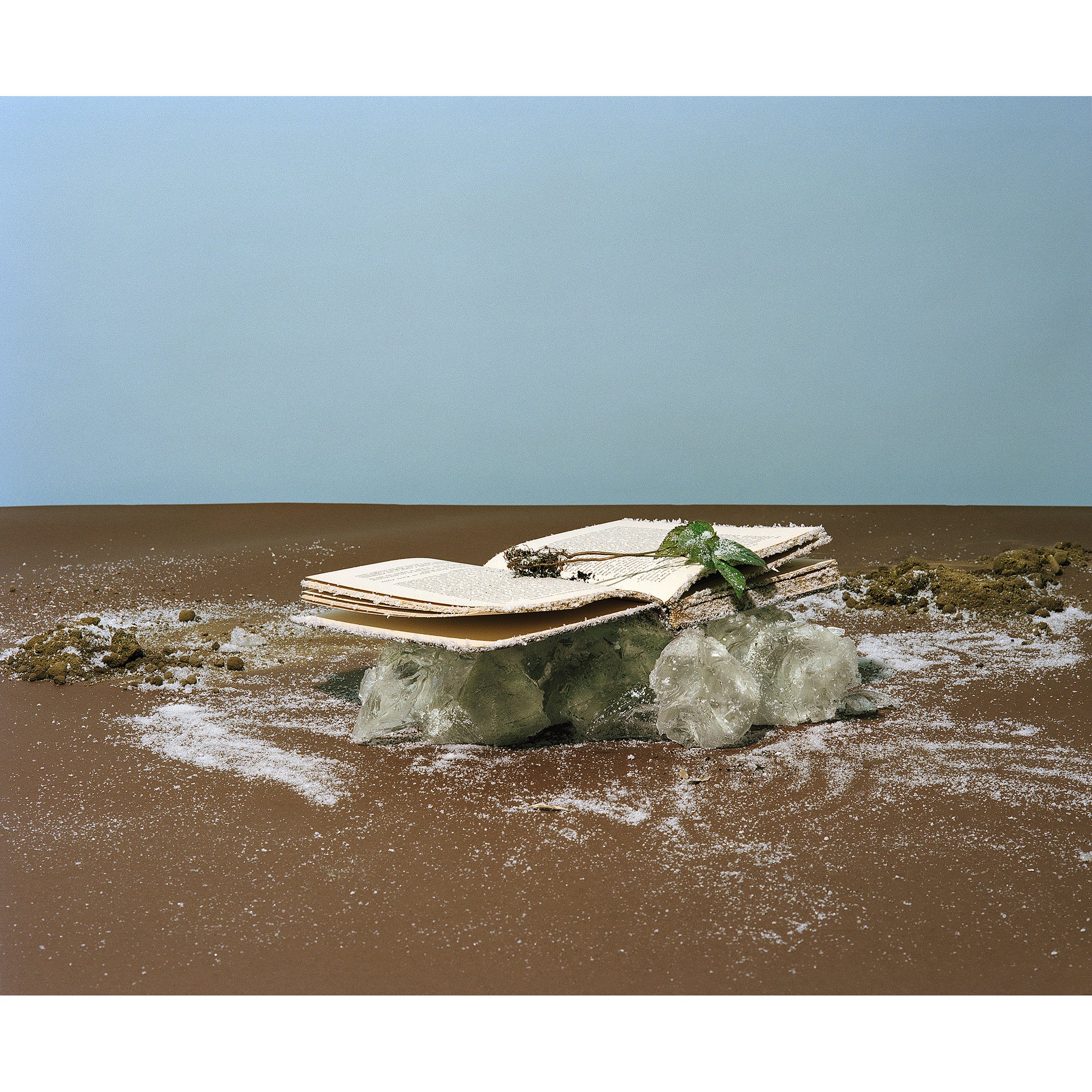 T-library-3sq.jpg