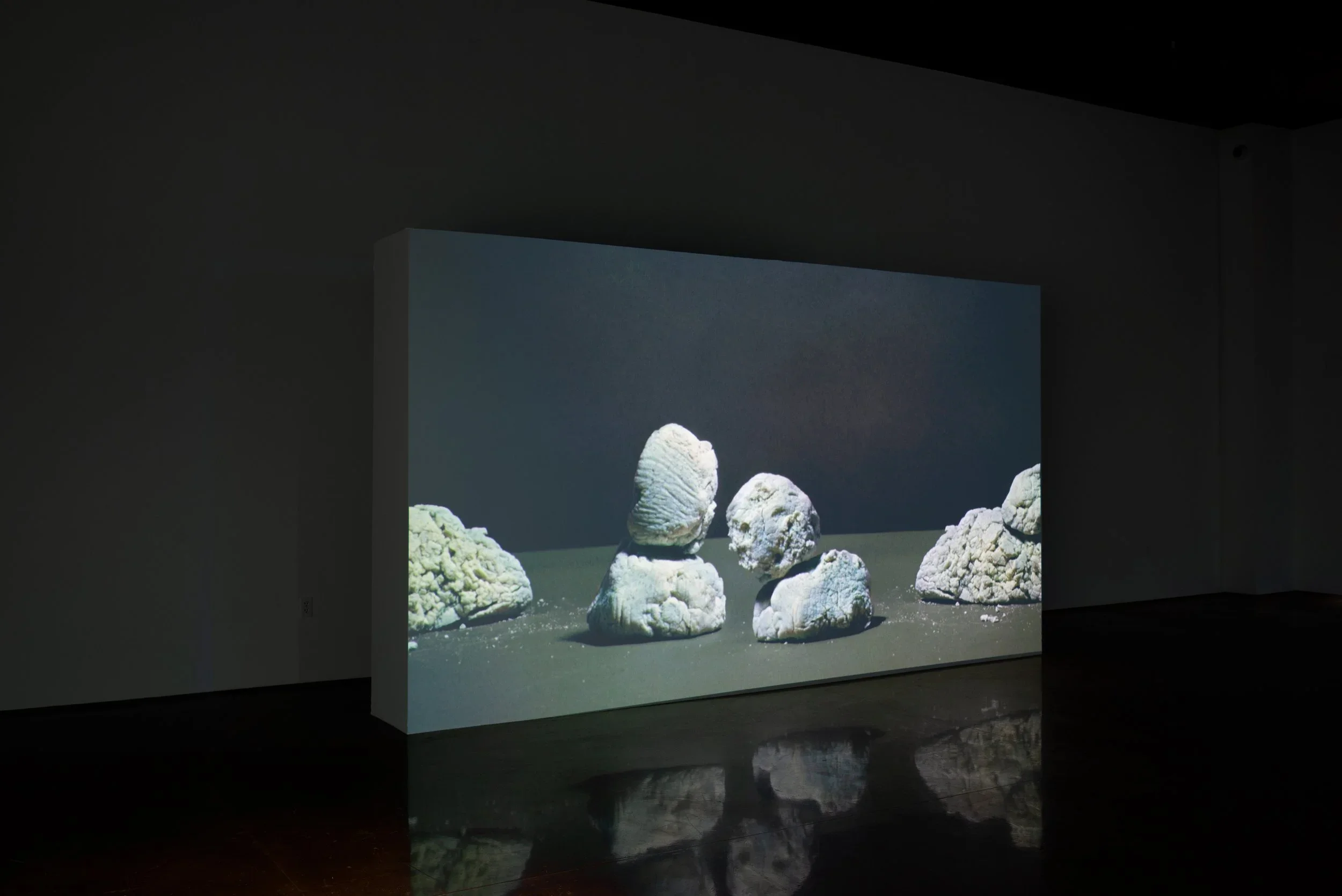 Modern Societies, 2021