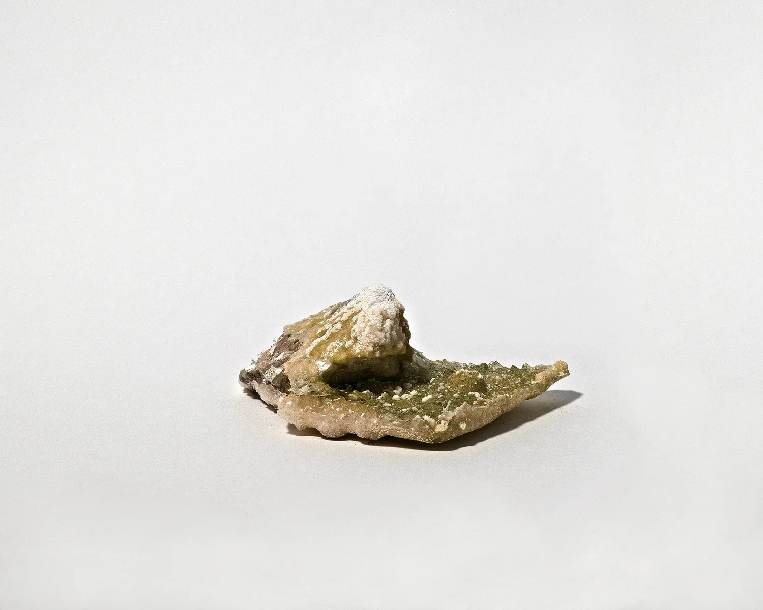 Choi_Untitled7378.webp