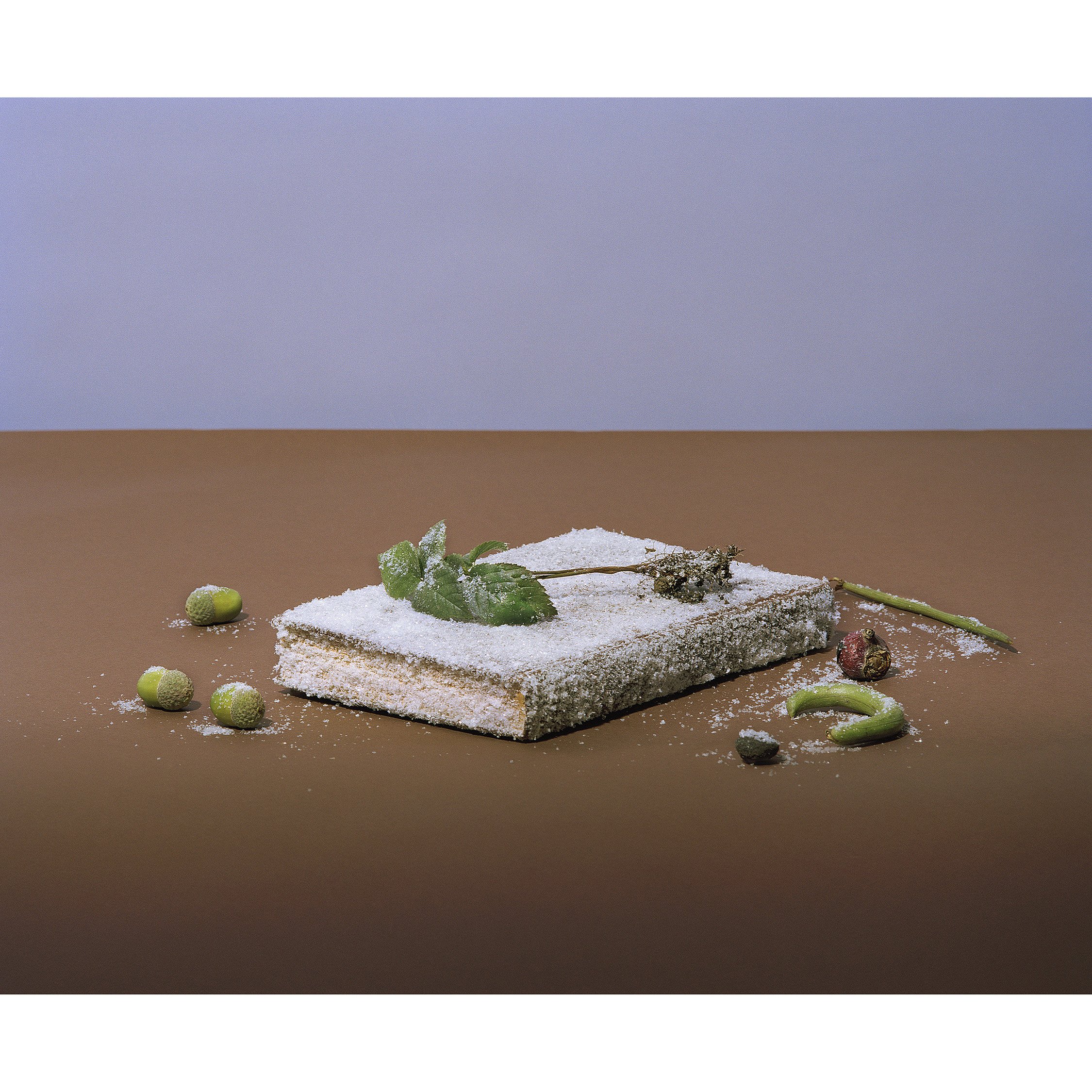 T-library-2sq.jpg