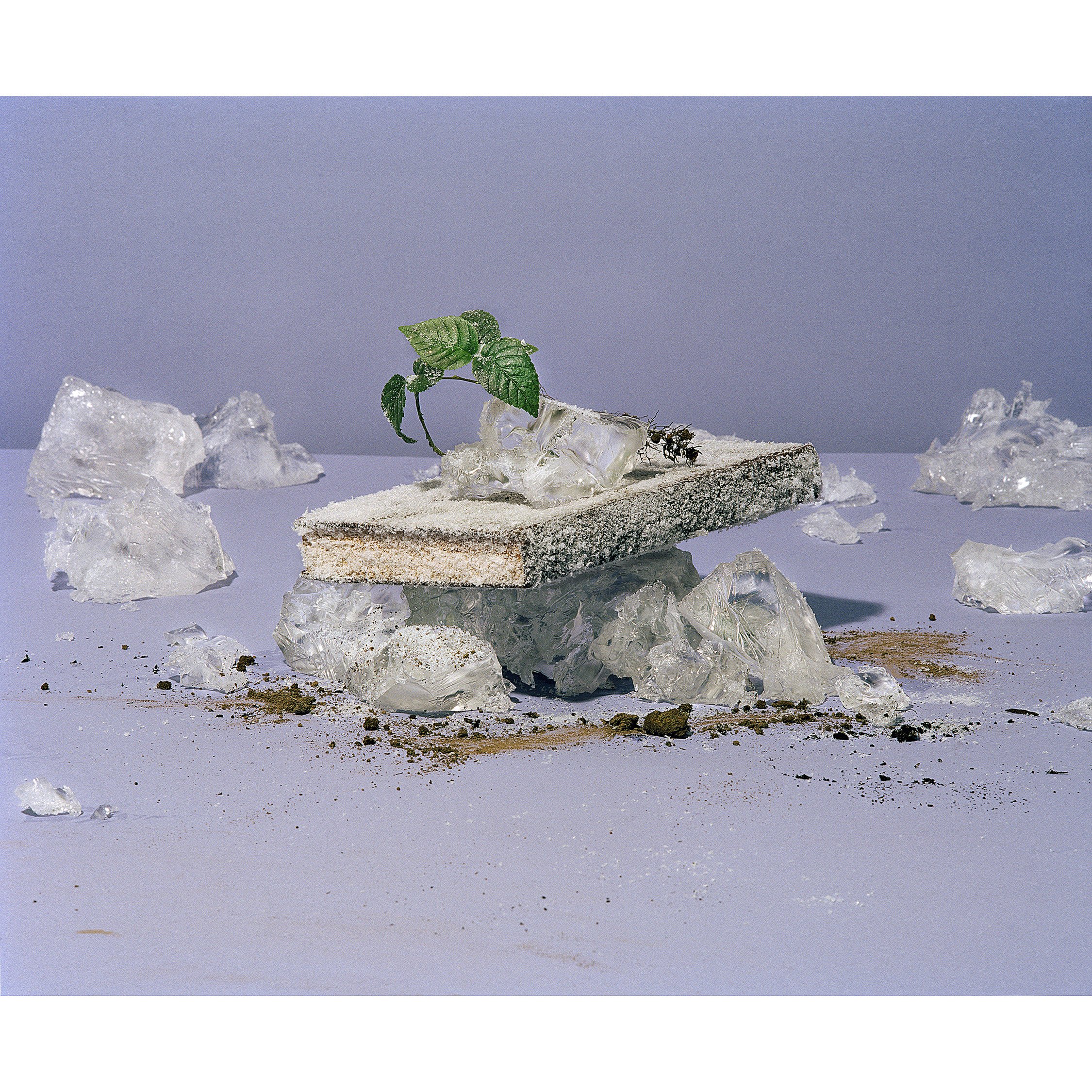 T-library-1sq.jpg