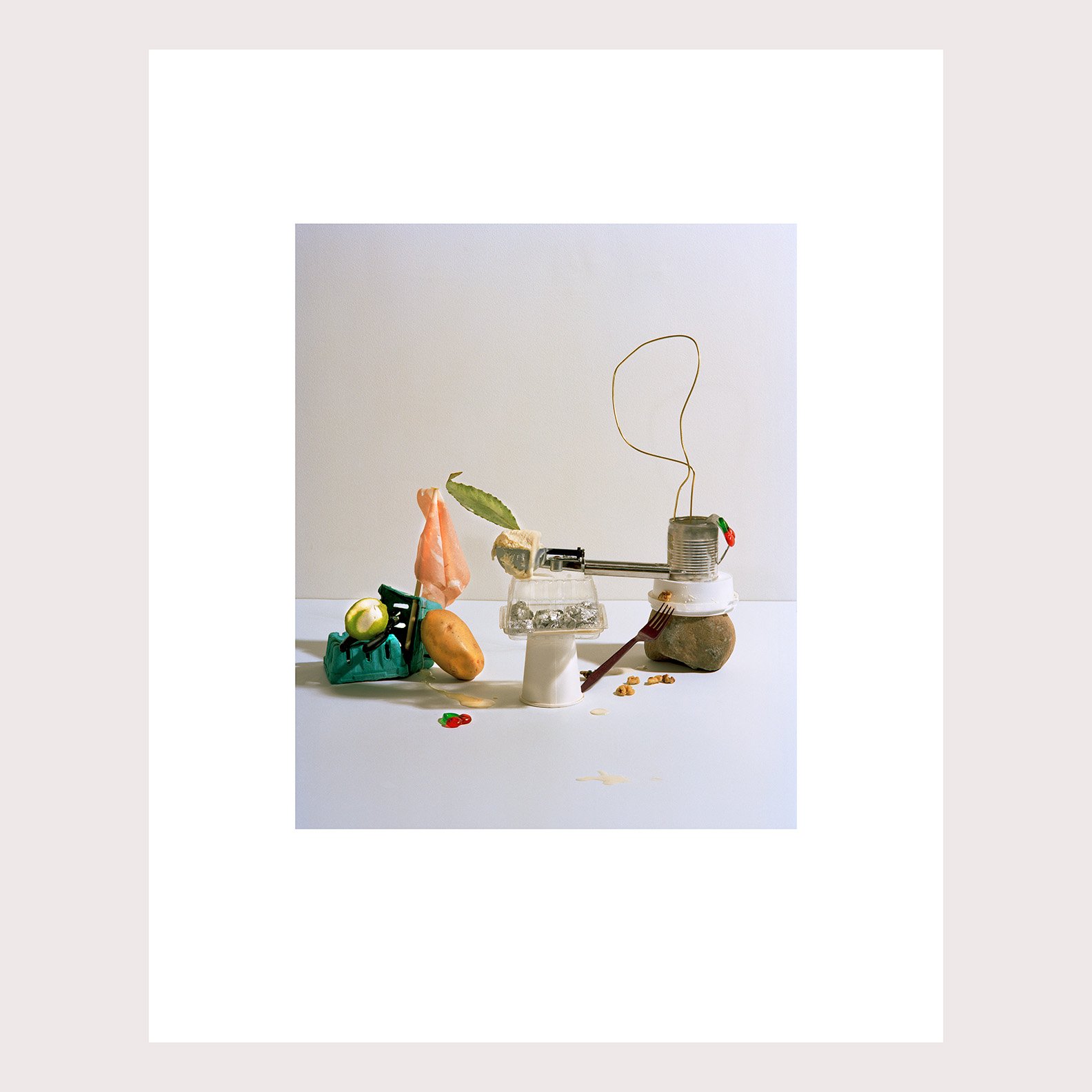 LCEditions_16x20_FischliWeiss.jpg