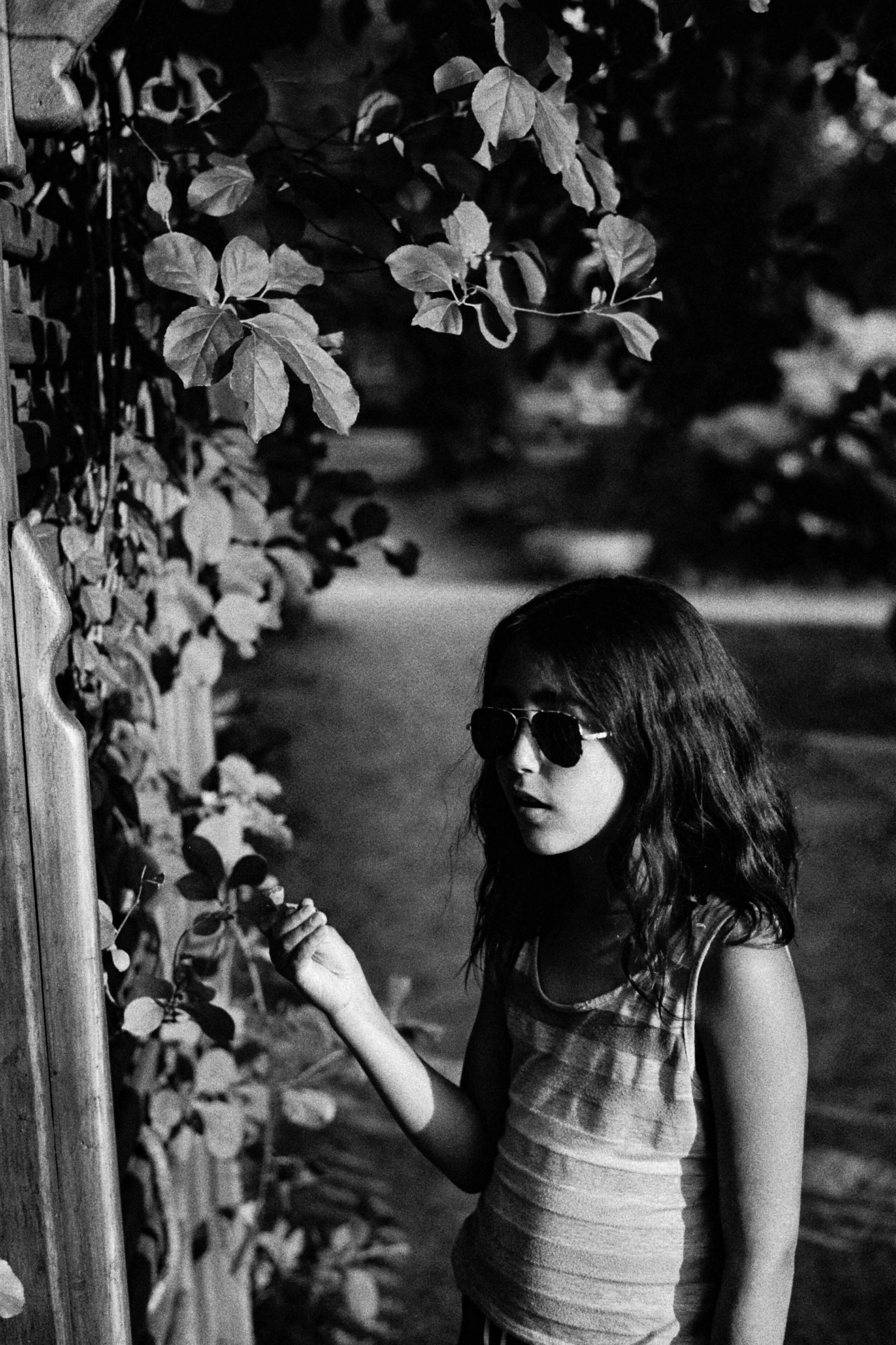 Elsie summer.jpg