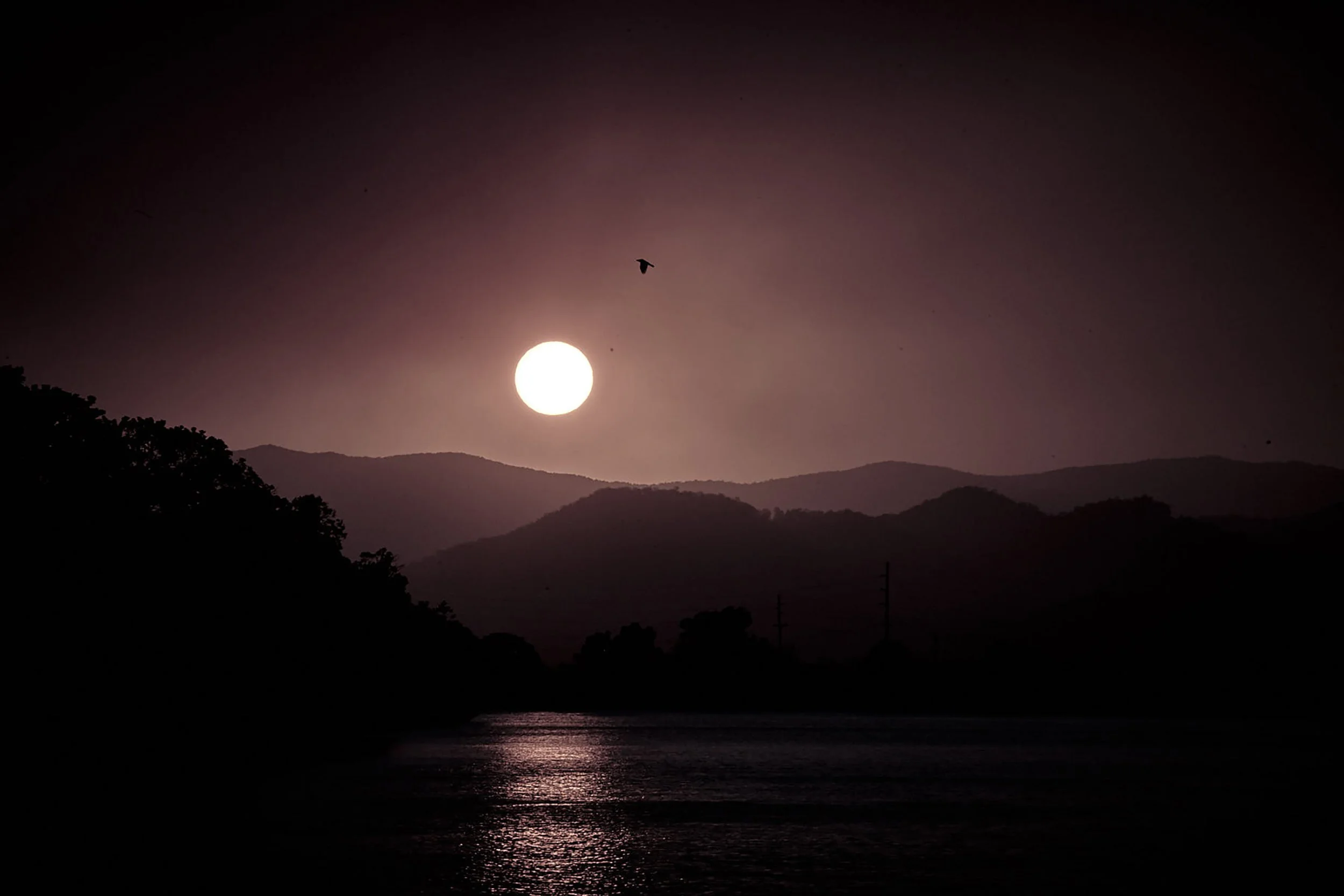 191112SWDAY8SH01-339.jpg