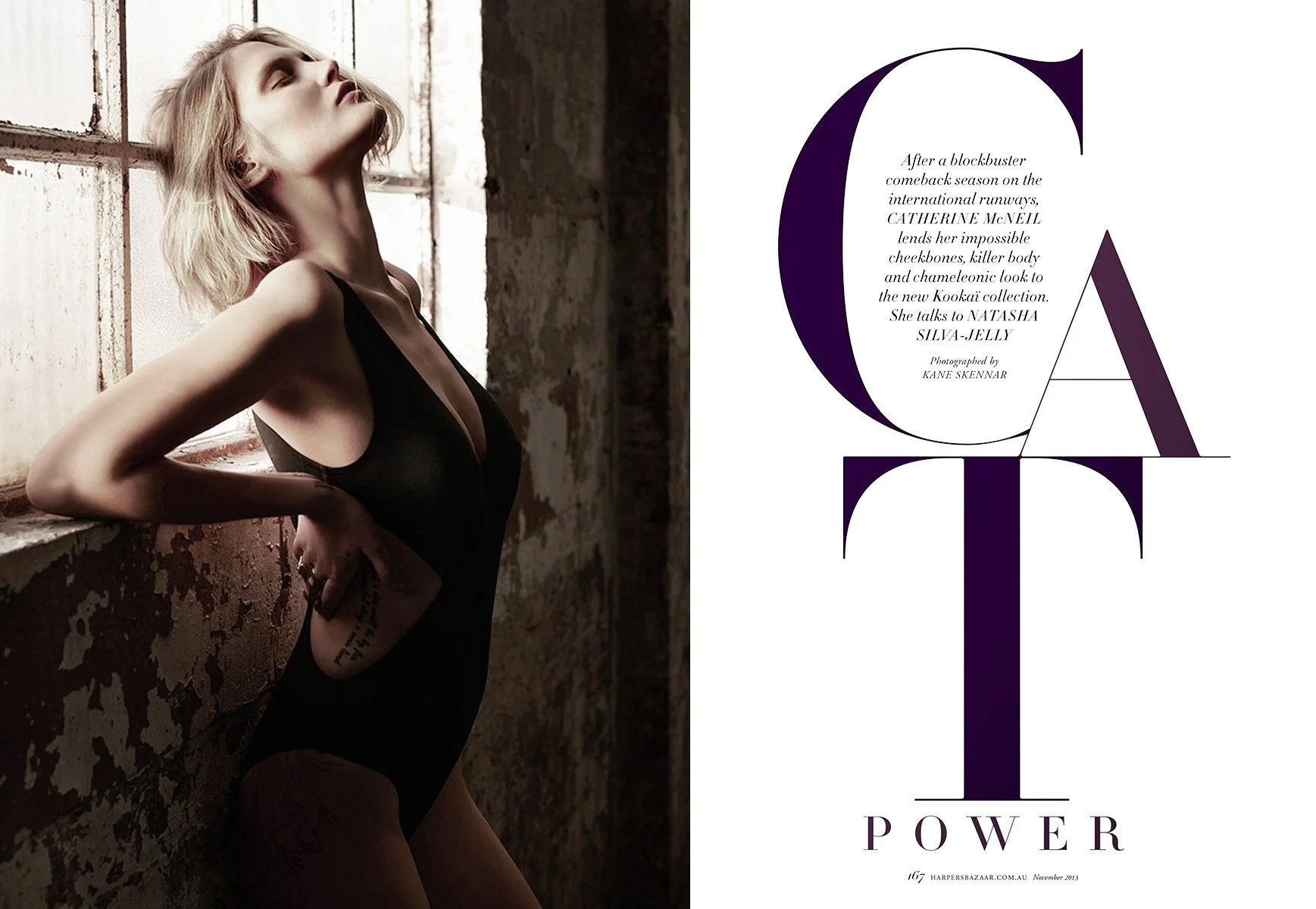 hb1113FashionCatPower-1.jpg