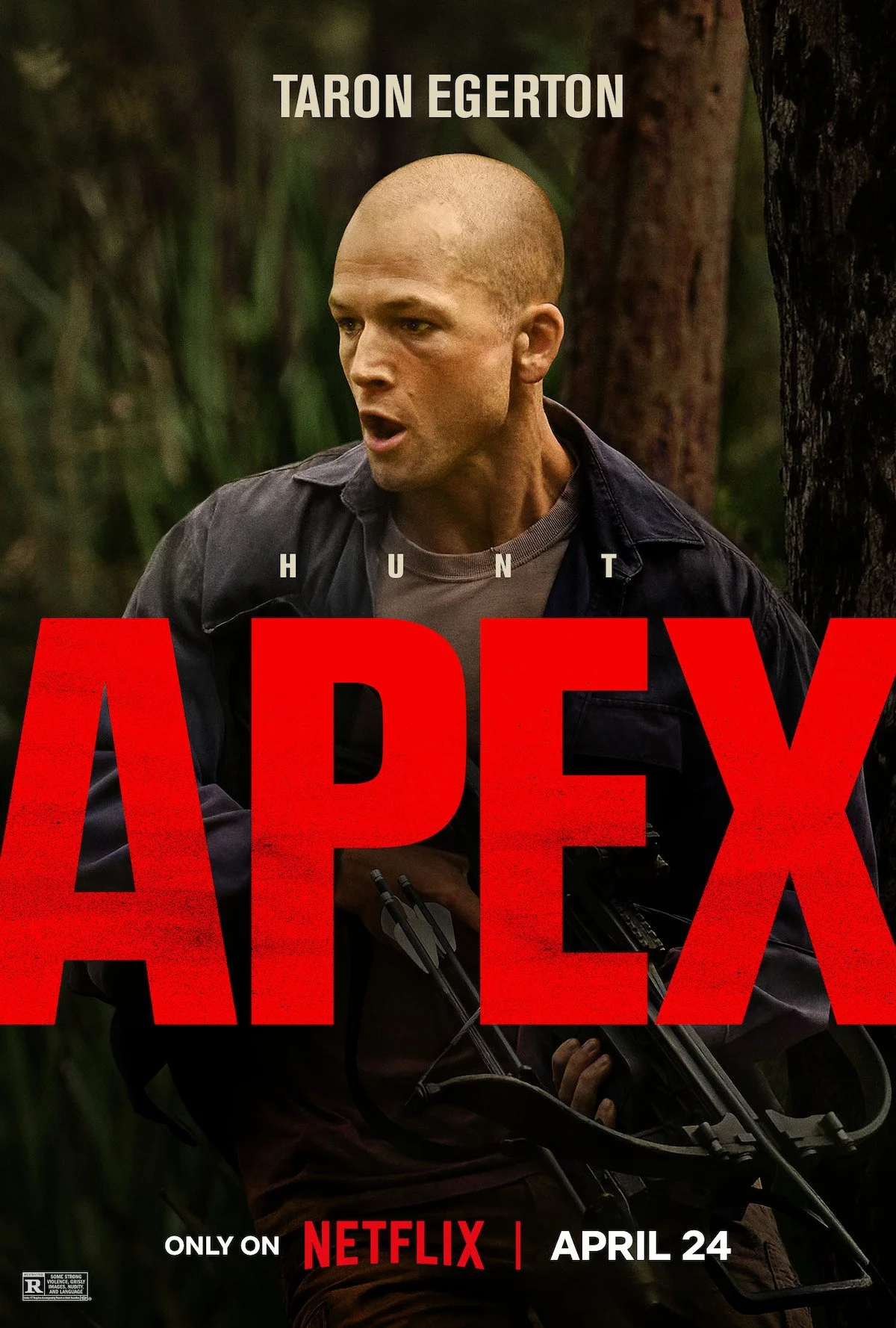APEX 1.jpg