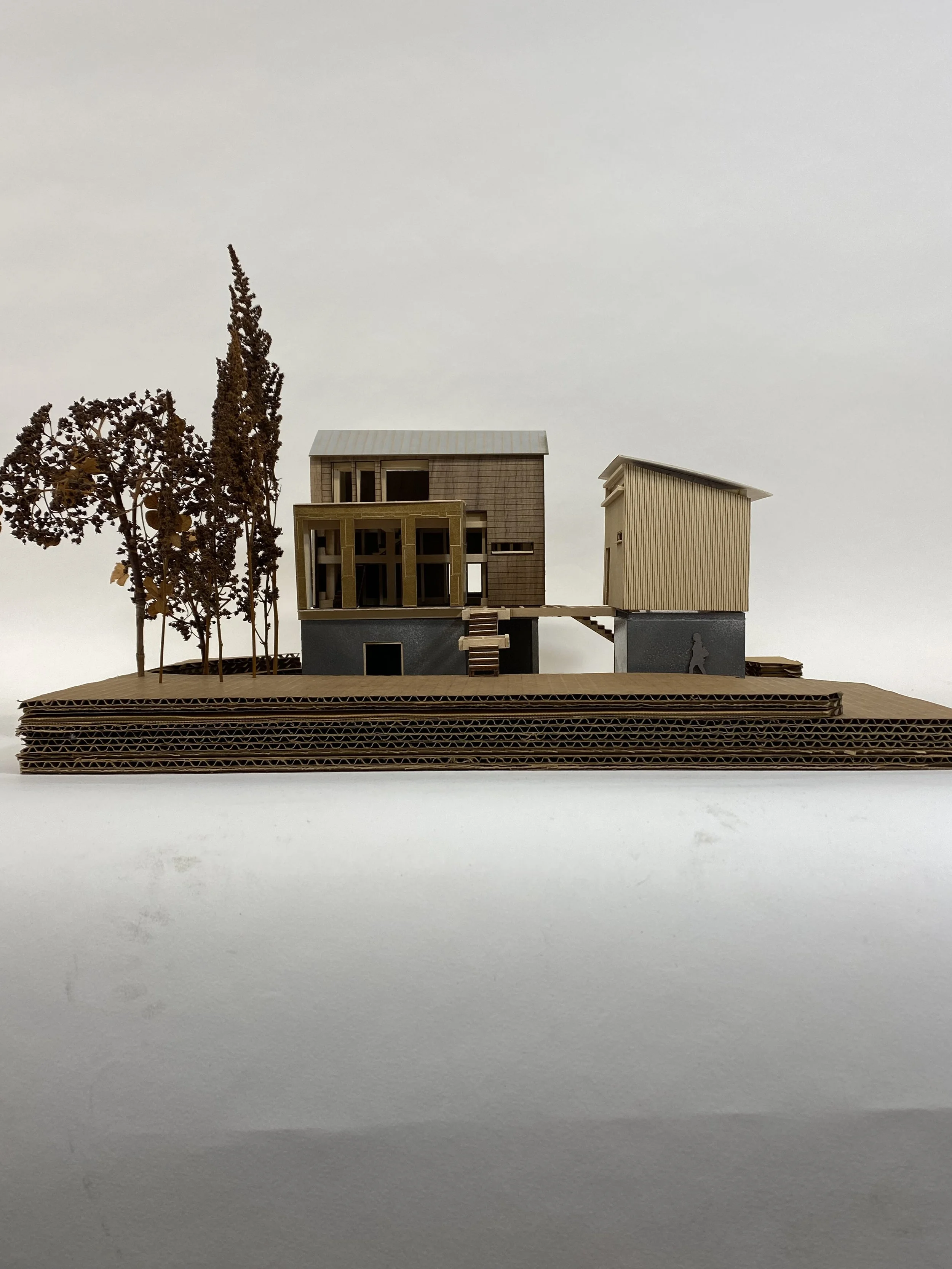 House in the Woods