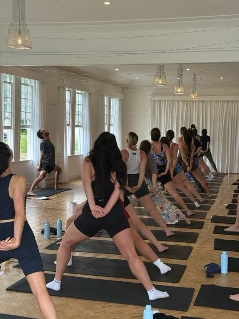 IMG_5294 Medium.jpeg