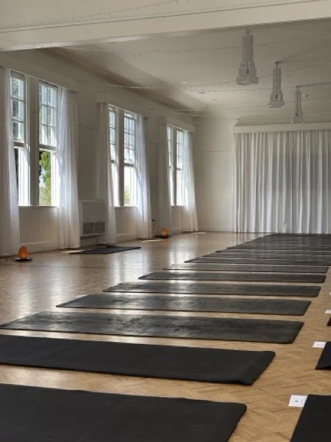 IMG_7698 Medium.jpeg