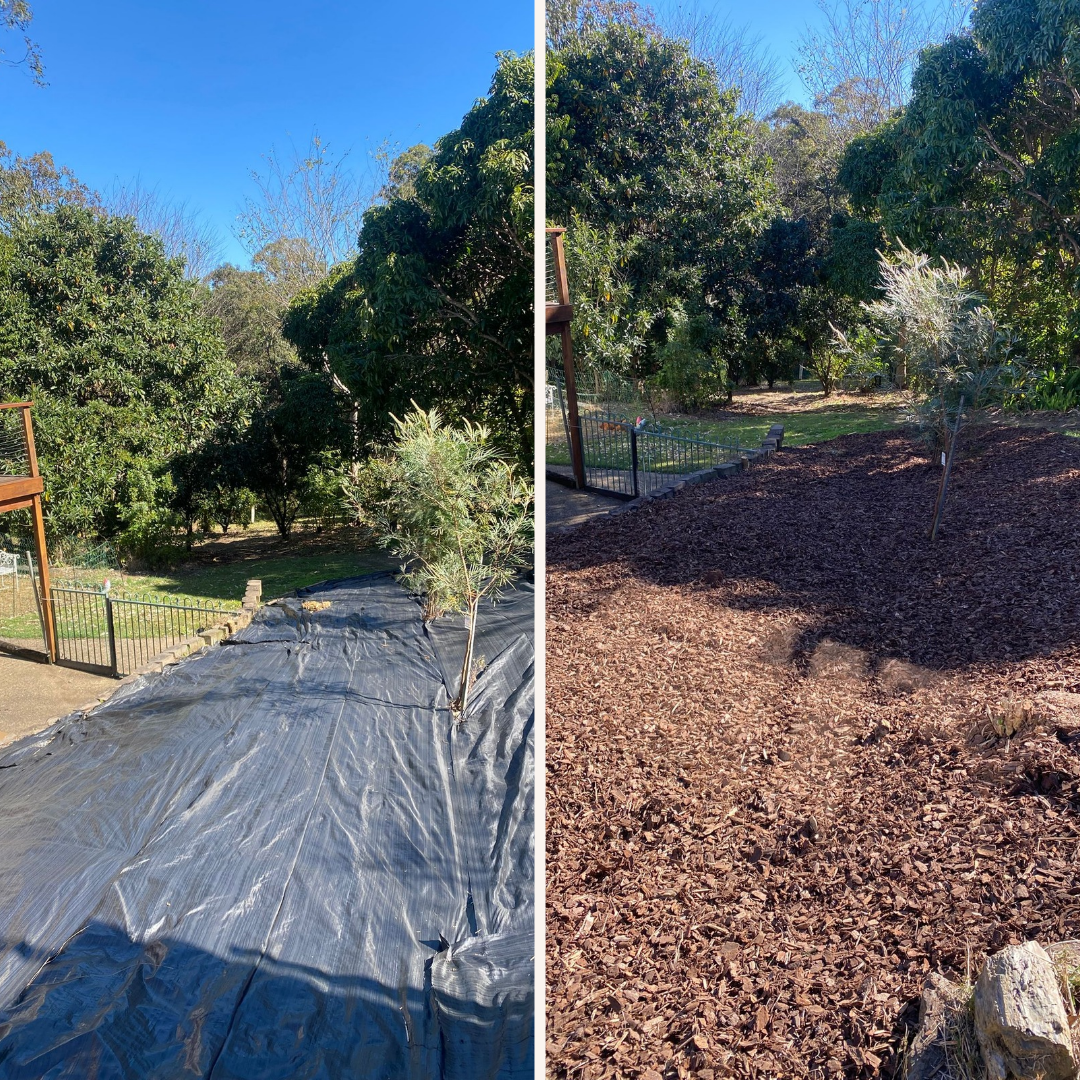 Garden mulching and landscape bed installation in Samford Valley