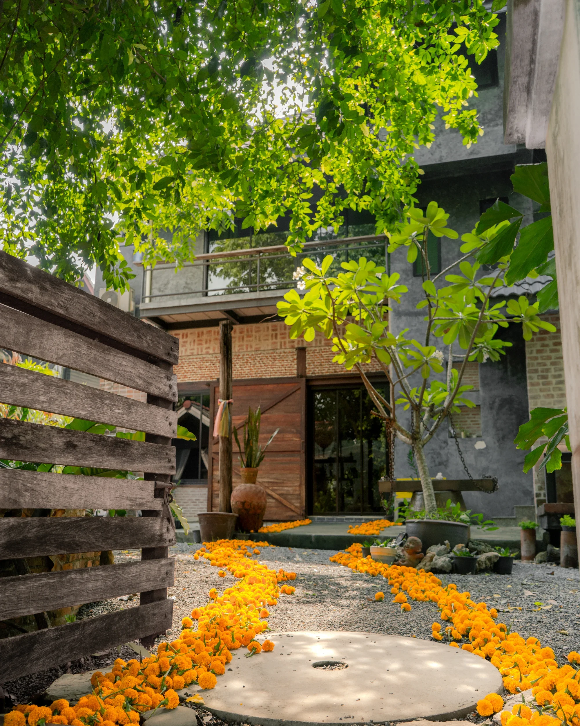 A small outdoor garden with a concrete space ringed by bright orange marigold flowers, green trees, potted plants, a wooden fence on the left, a modern house with large windows in the background, and a small fire pit in the center.