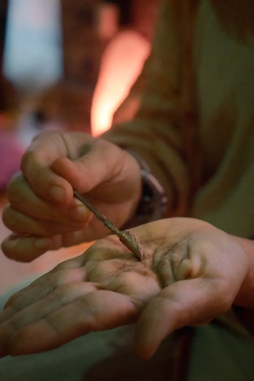 Rapeh: Sacred Medicine of Clarity and Grounding