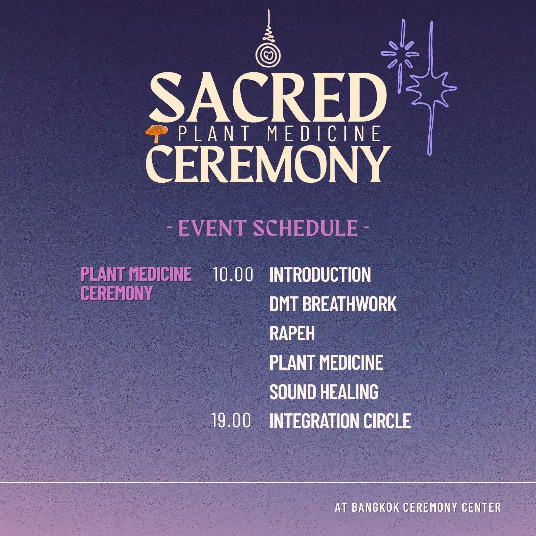 plane medicine schedule.webp