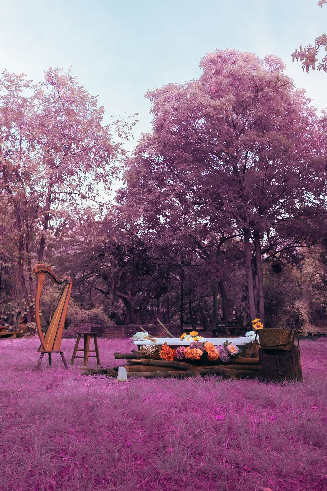 A surreal scene with pink-tinted grass and trees, a harp, stools, and a table decorated with colorful flowers in a park-like setting.