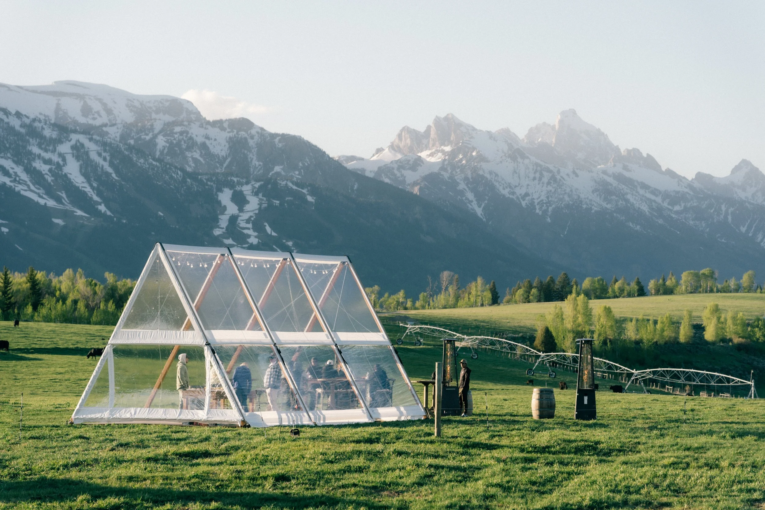 Alpine Peak Frame Tent