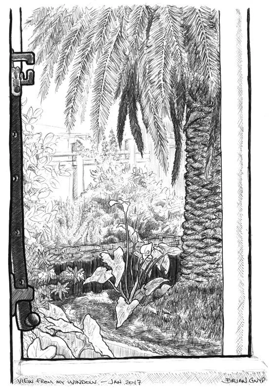 2017-01 Phoenix Palm.jpg