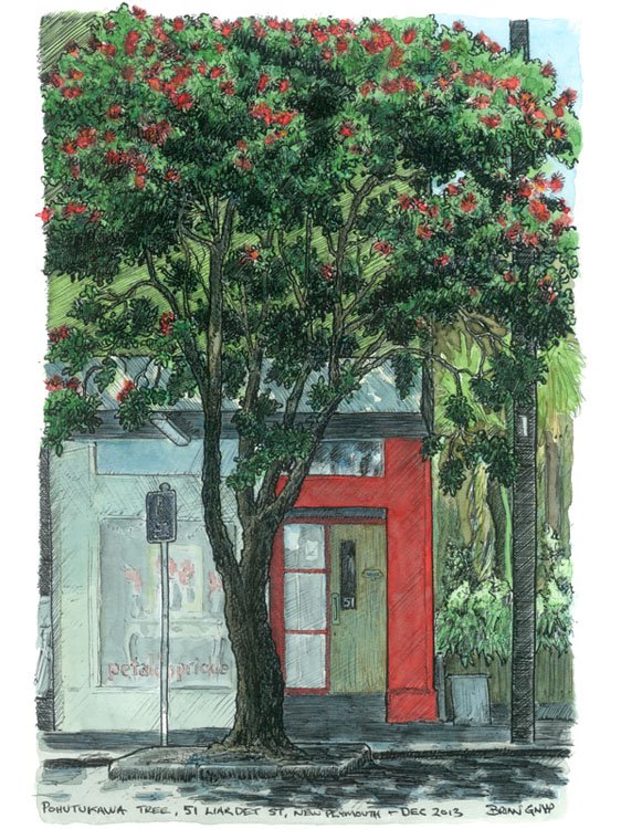 2013-12 Pohutukawa WC.jpg
