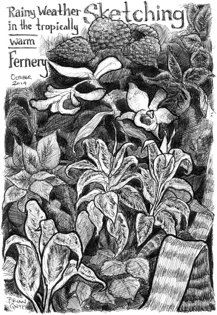 2014-10 Fernery.jpg