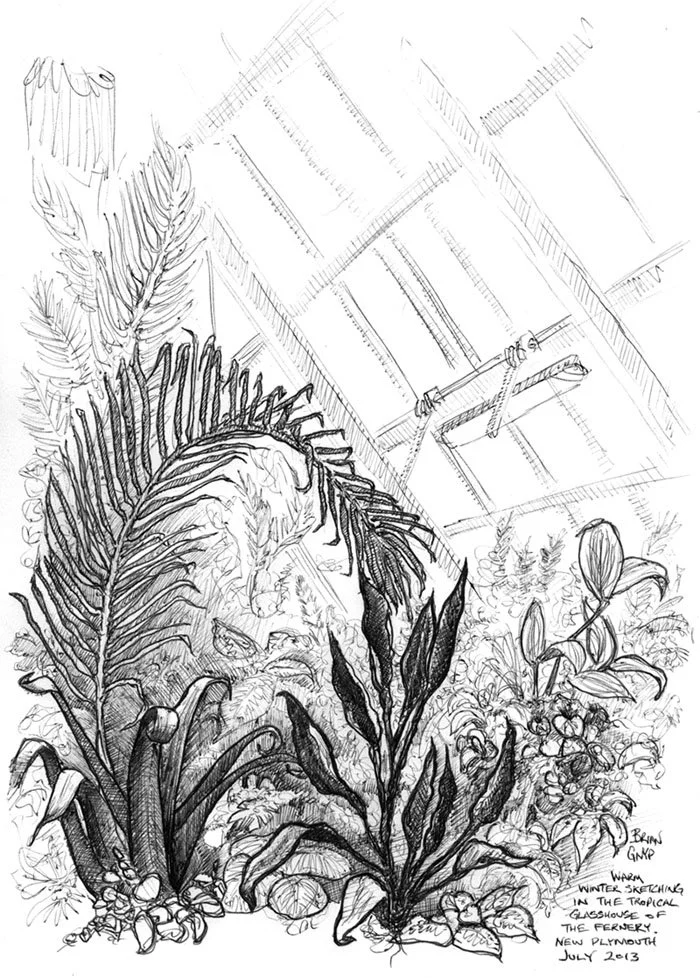 2013-07 Tropical Fernery.jpg