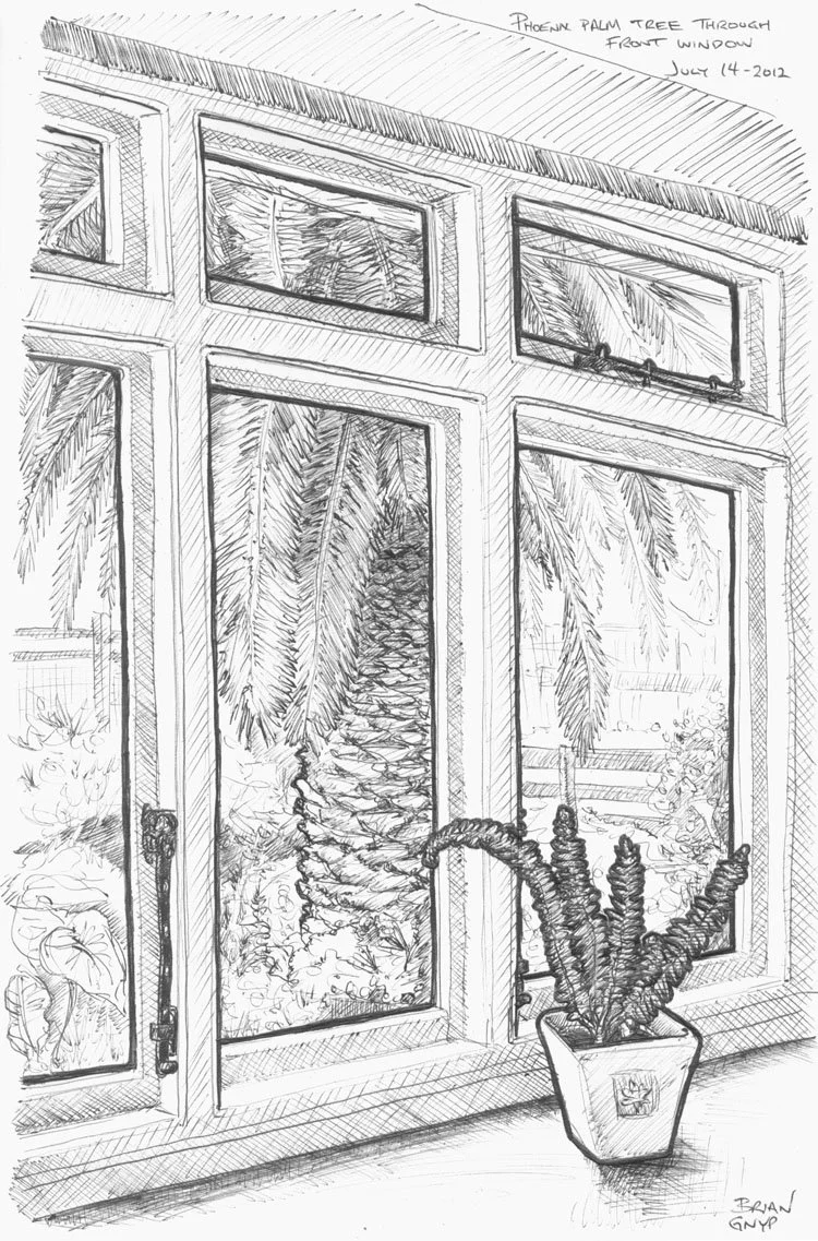 2012-07-14 palm tree.jpg