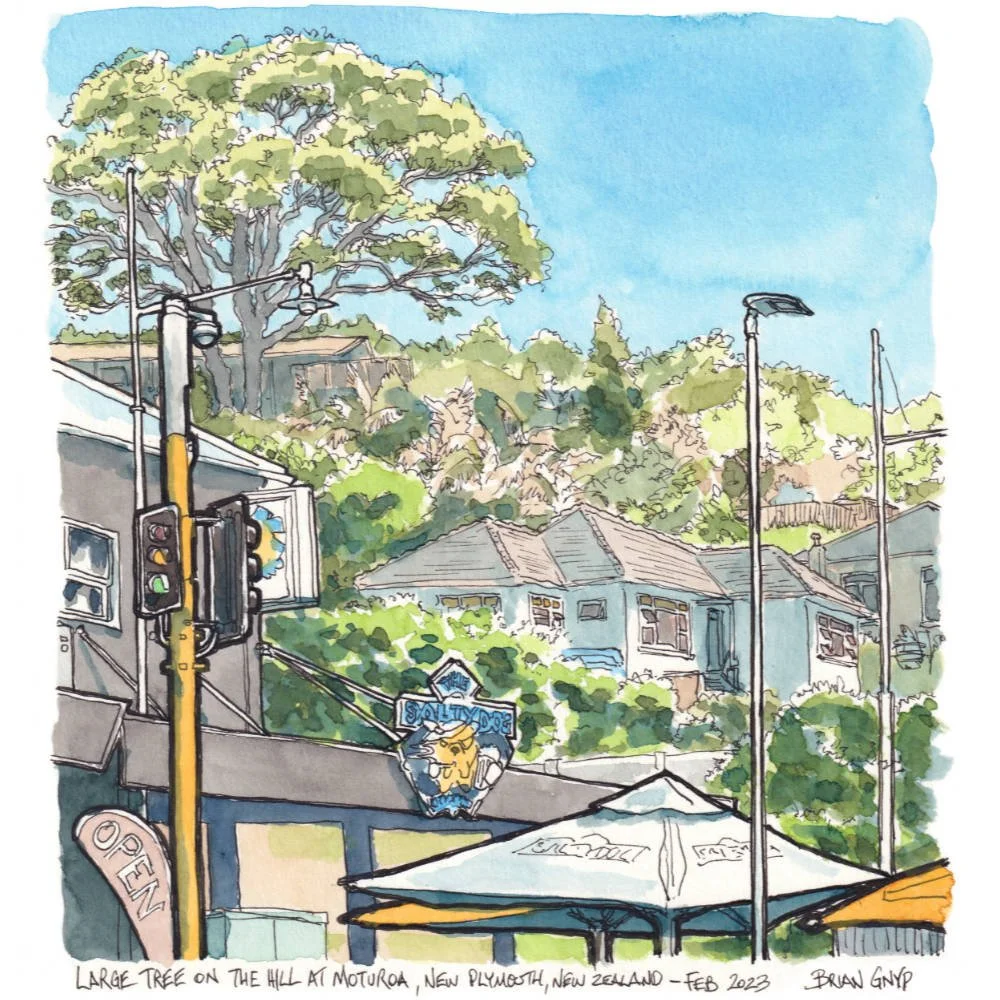 2023-02 Moturoa.jpg