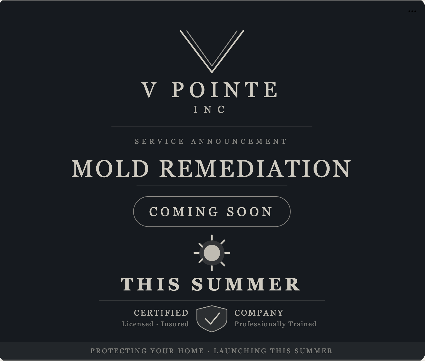 V Pointe Inc certified mold remediation services coming soon this summer