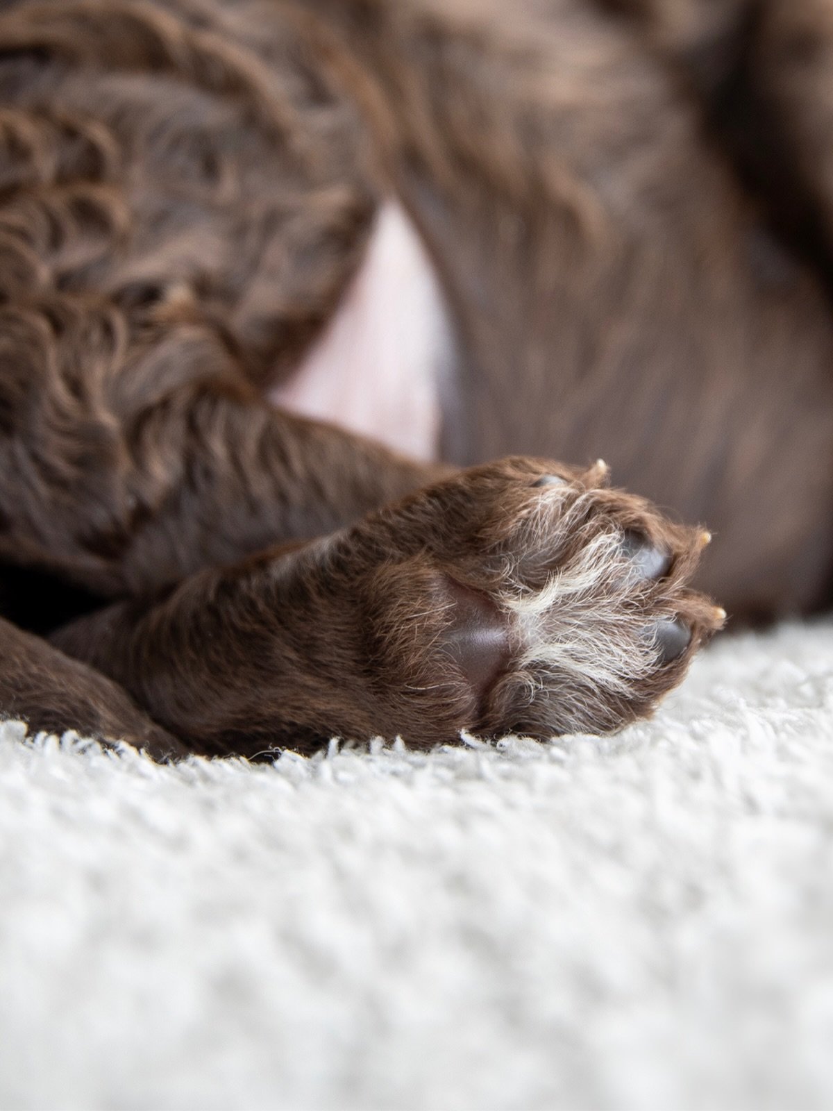 Looking back at our tiny selves to remind everyone that the best things in life take time to grow. As we ring in the New Year at Boathouse Barbet, we&rsquo;re sending out a little wish to Mother Nature for a year filled with health, happiness, and th