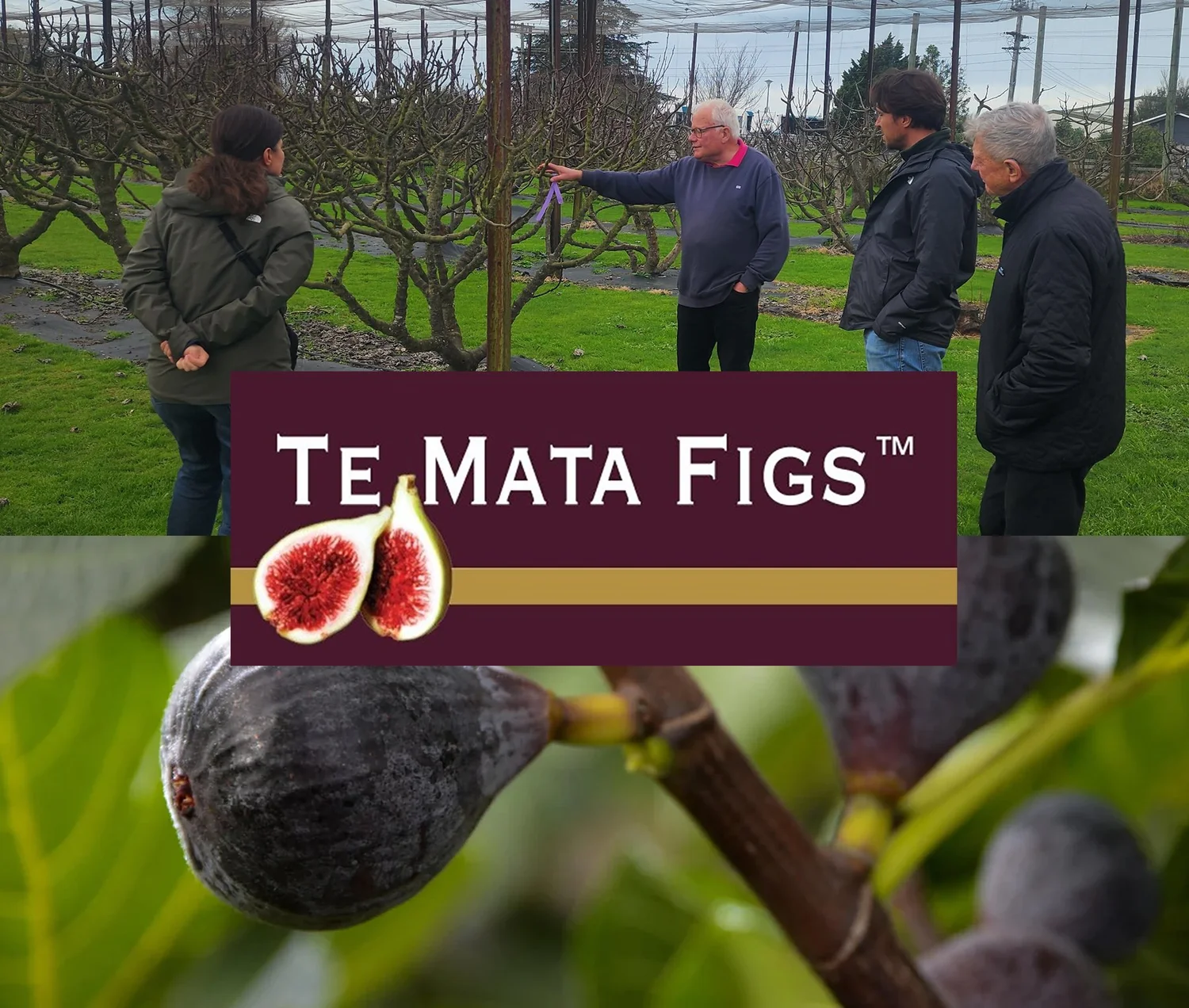 A Hawke's Bay artisan food producer