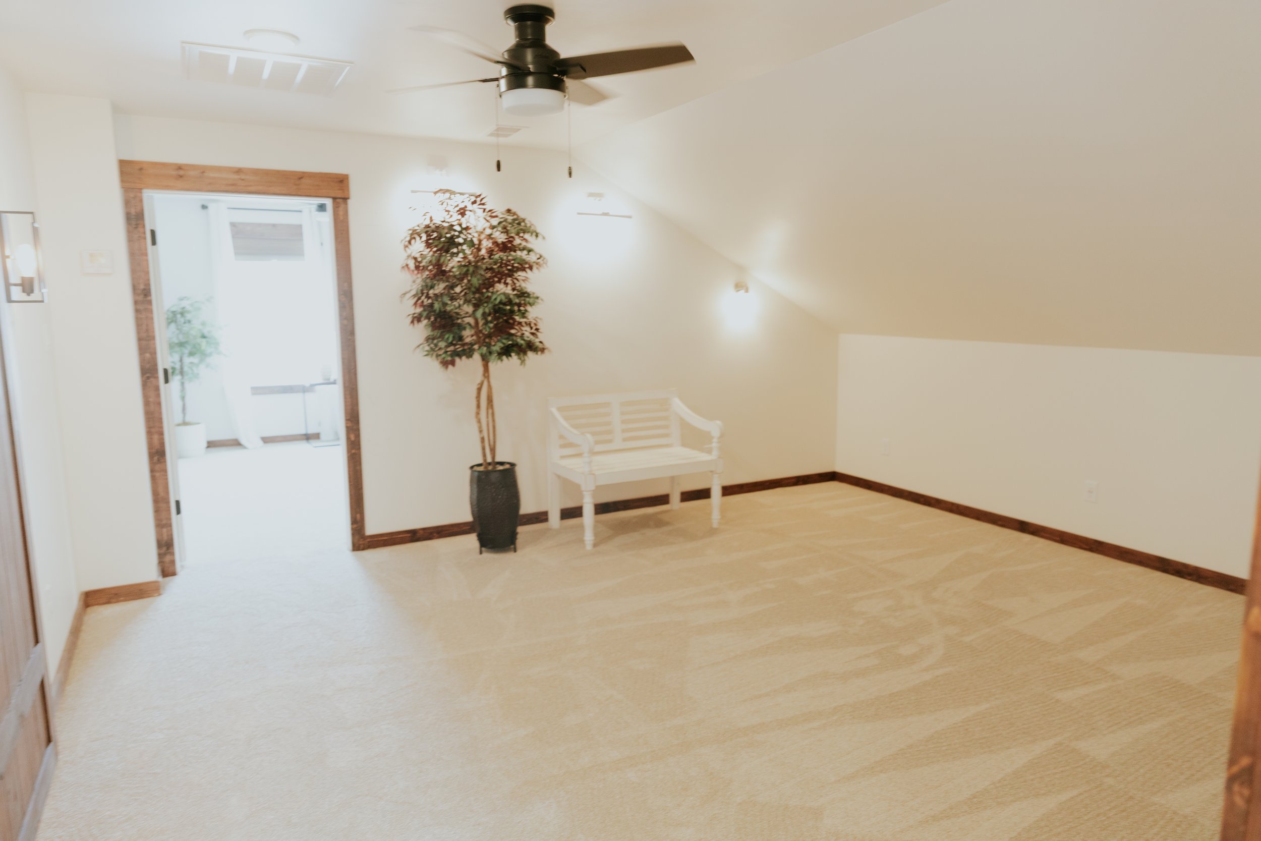 Empty room with beige carpet, white walls, a white bench, a potted artificial tree, ceiling fan, and wall-mounted lights.