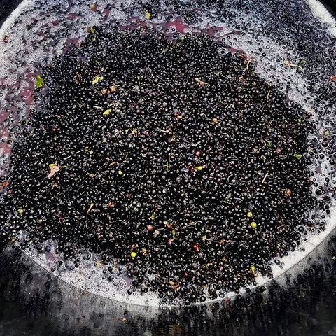 A close-up of a black bowl filled with black peppercorns and small pieces of herbs or garlic, with some bubbling liquid around the edges.