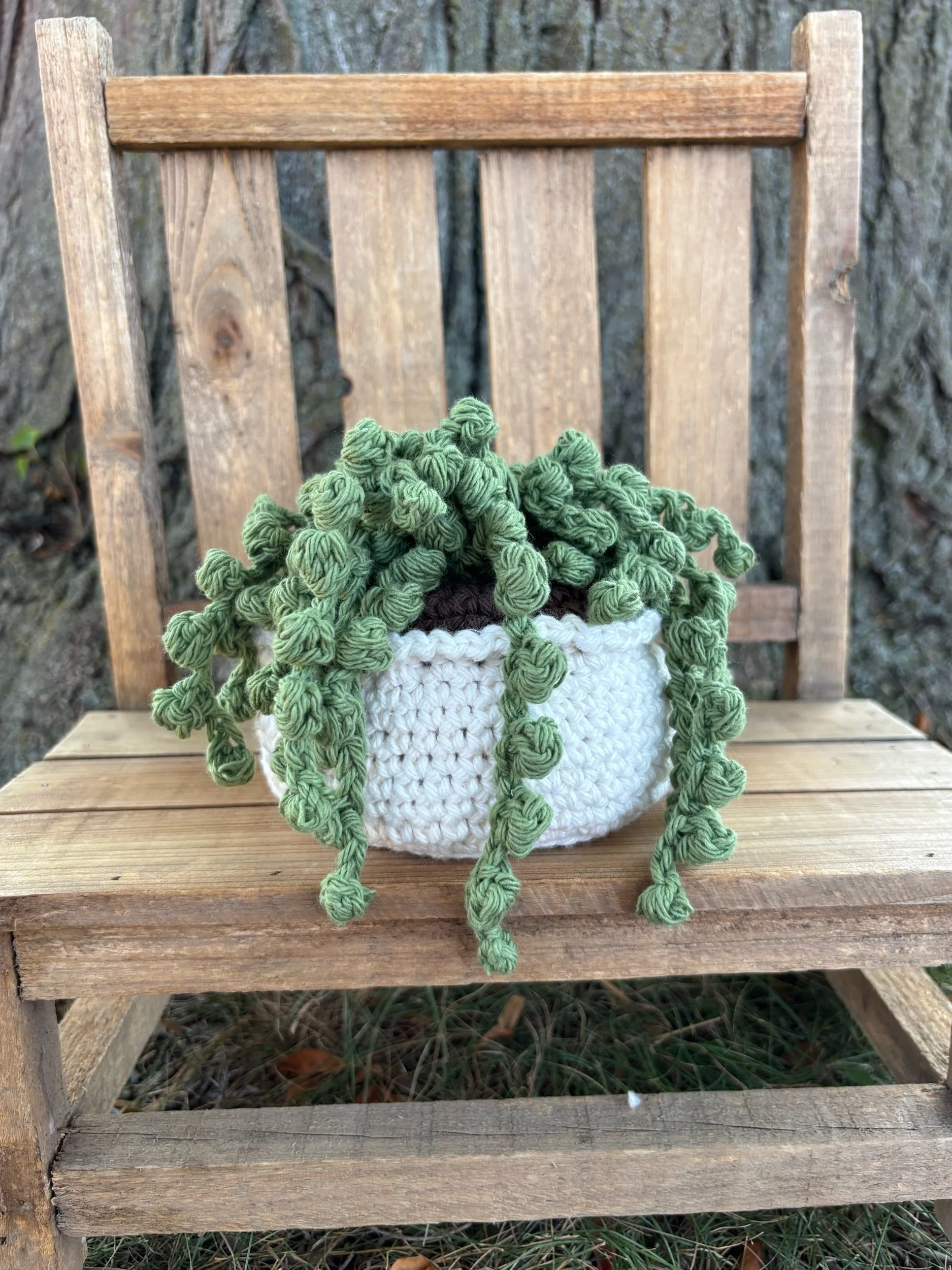 Handmade Crochet String of Pearls Plant
